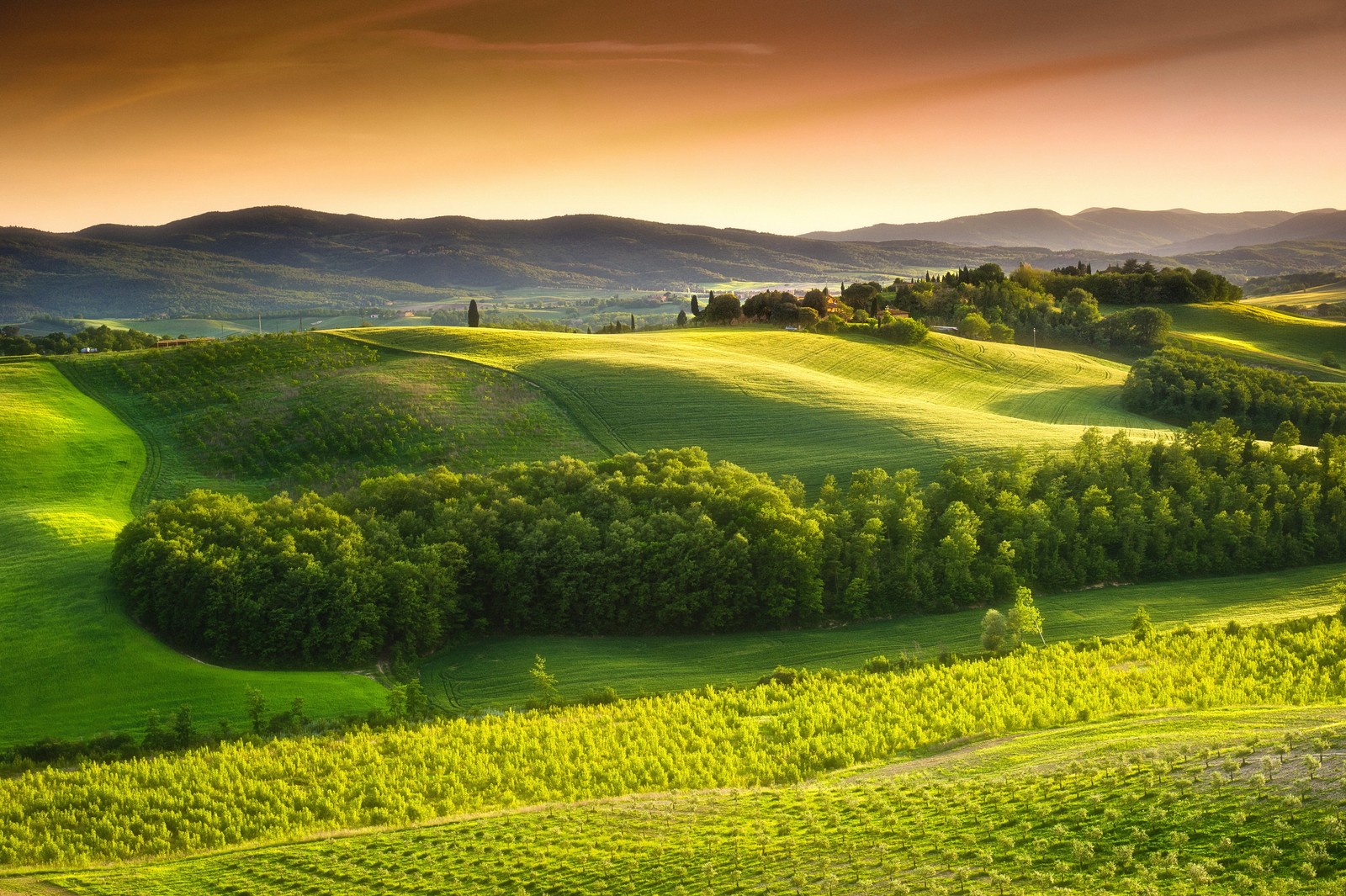 tuscany, nature, hill, field, grassland wallpaper