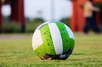 ball, soccer ball, green, grass, football