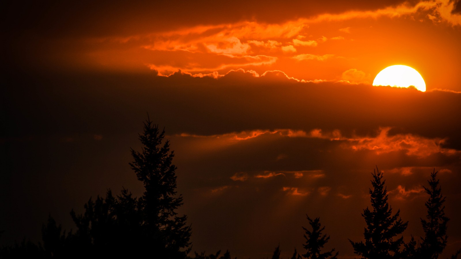 Um close-up de um pôr do sol atrás de algumas árvores (silhueta, arte, nuvem, atmosfera, dia)