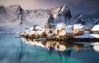 lofoten, montagne, hiver, neige, réflexion