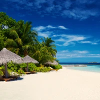 Tropische Strand-Oase mit Palmen und Strohdächern