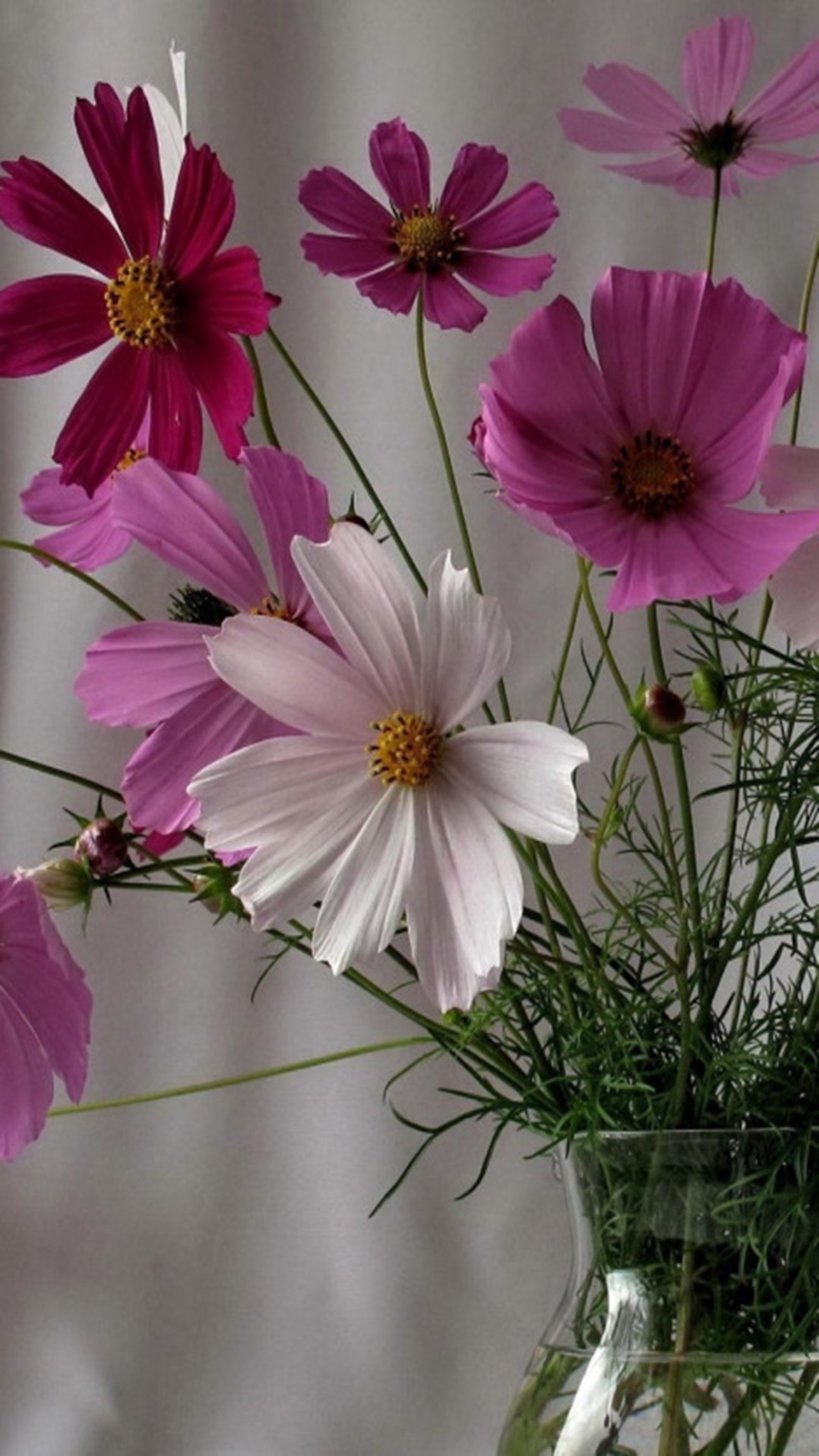 Lade blumen, frühling Hintergrund herunter