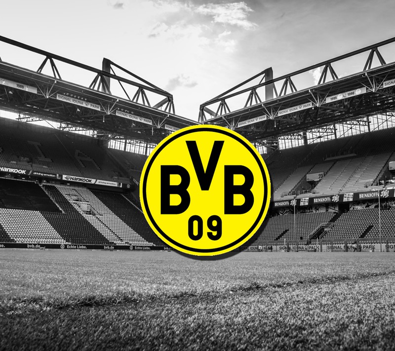 Близкий план футбольного поля с логотипом bvb на нем (боруссия, borussia, бвб, bvb09, дортмунд)