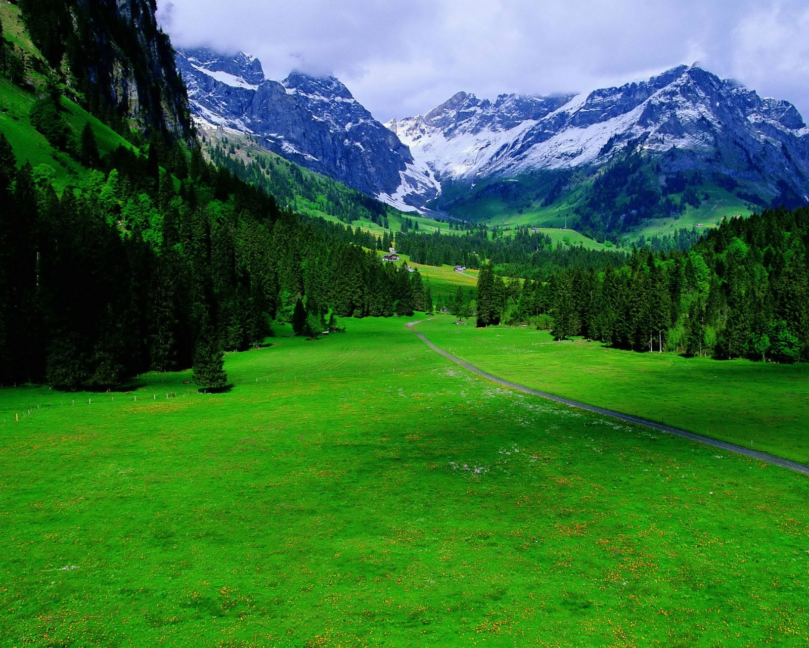 Arafed view of a green field with a mountain in the background (beautiful, green, landscape, mountain, nature)