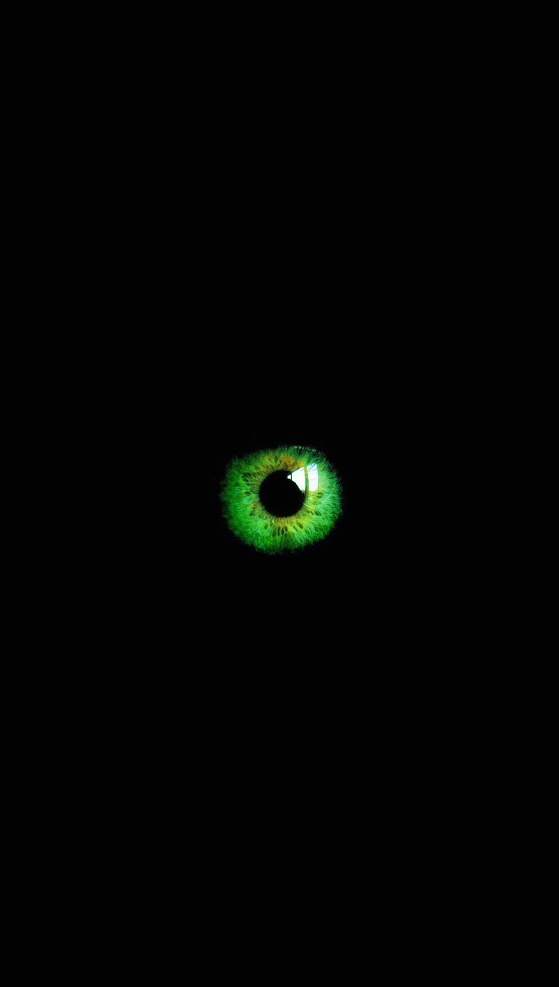 Un primer plano de un ojo verde en la oscuridad (stgeh, zbve)