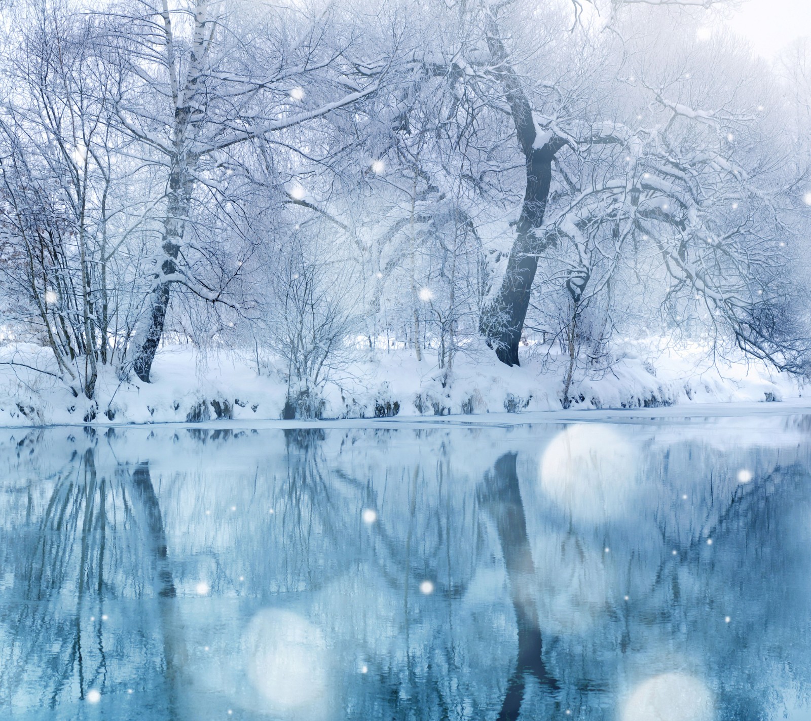 Des arbres enneigés et de l'eau dans un parc avec de la neige qui tombe (flueve, neige, arbres, hiver)