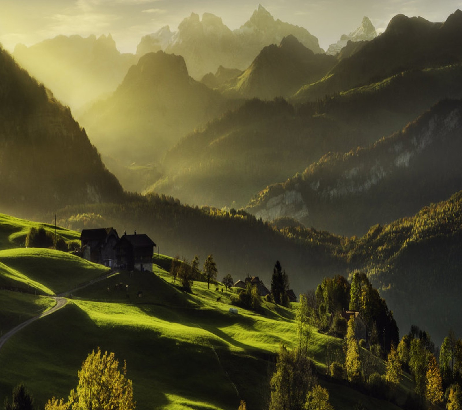 Lade träume, grün, natur Hintergrund herunter