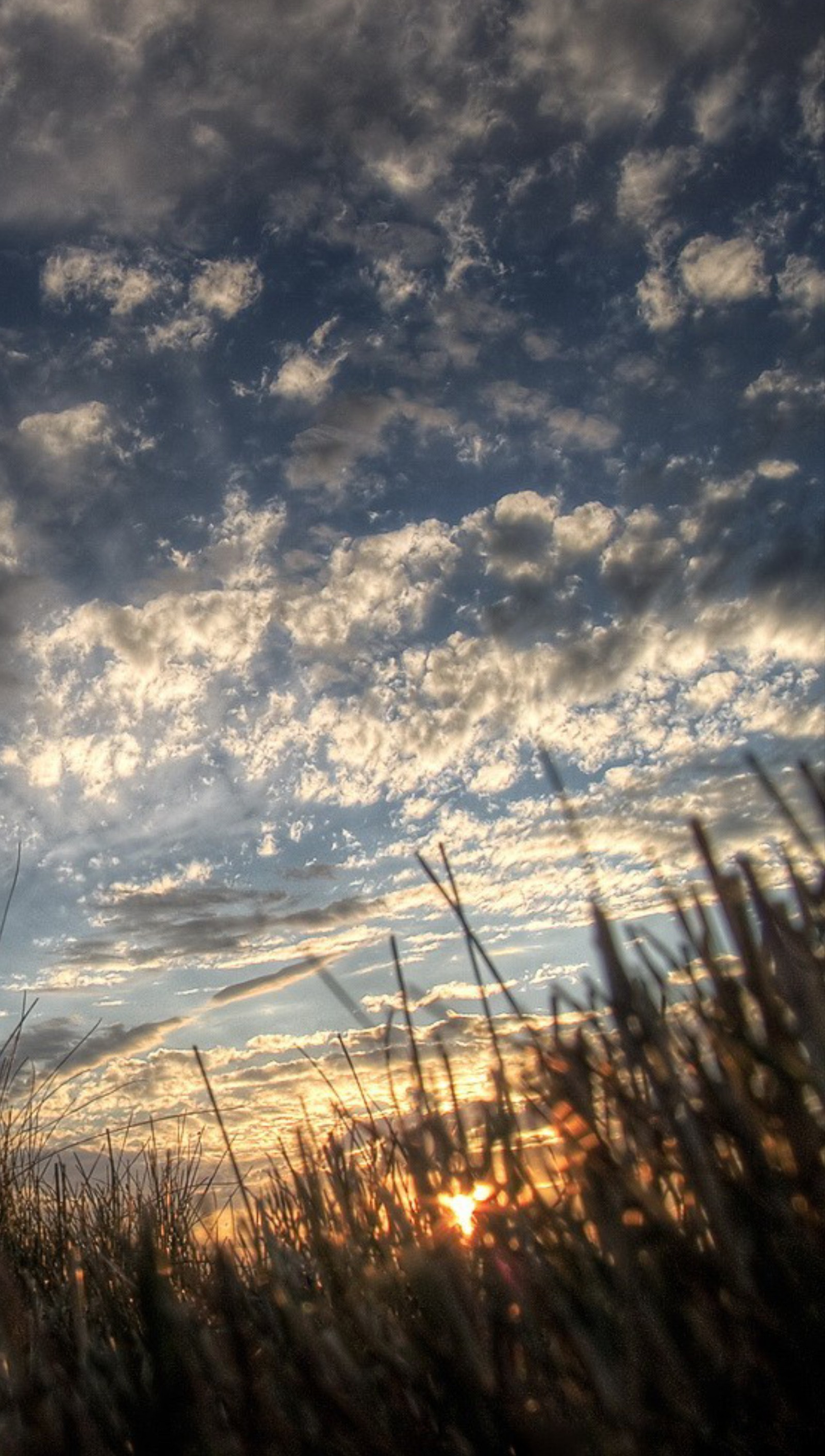 Lade natur, sonnenuntergang Hintergrund herunter