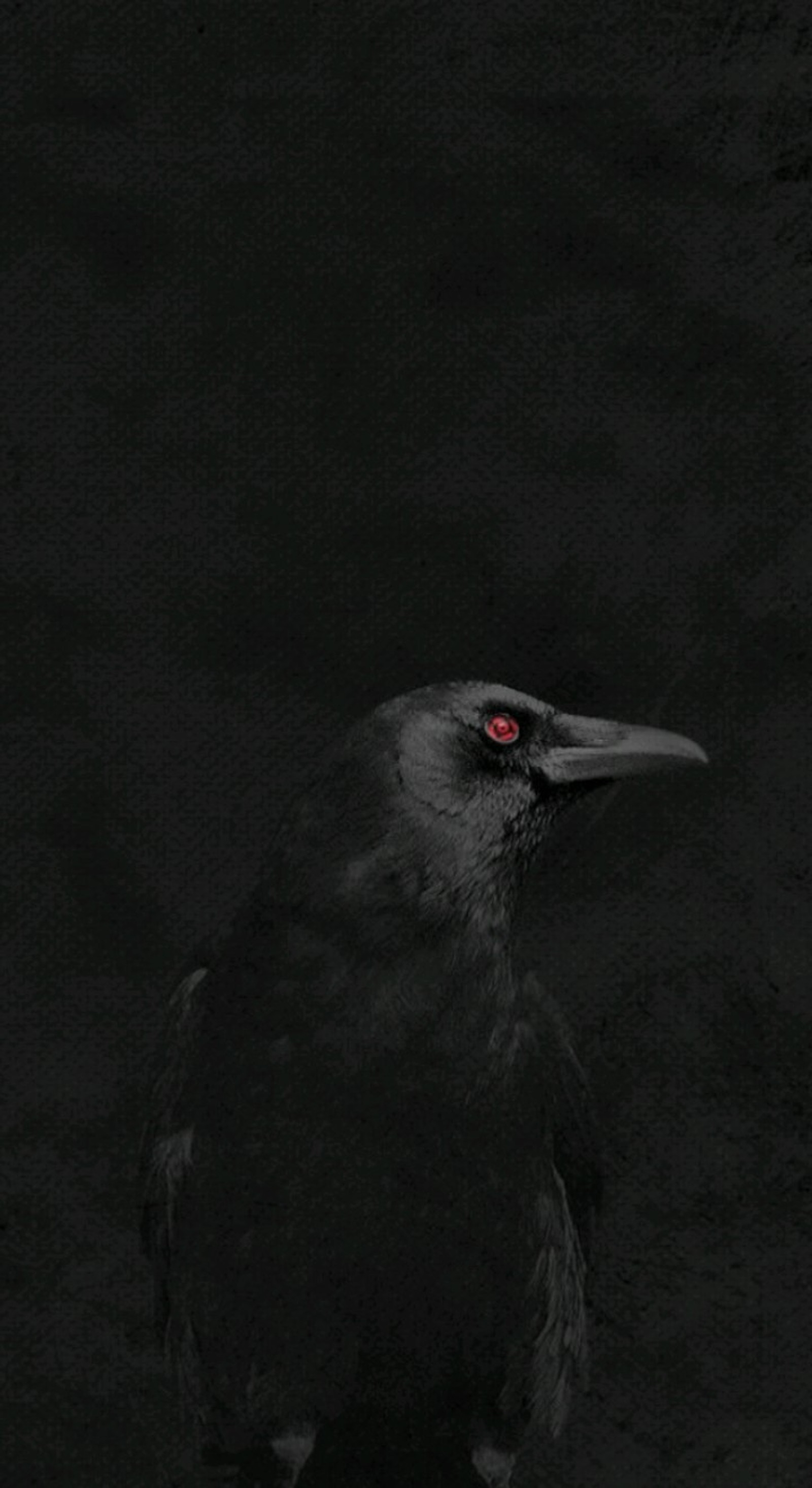 There is a black bird with a red eye sitting on the ground (anime, itachi, itachi uchiha, naruto, naruto shippuden)