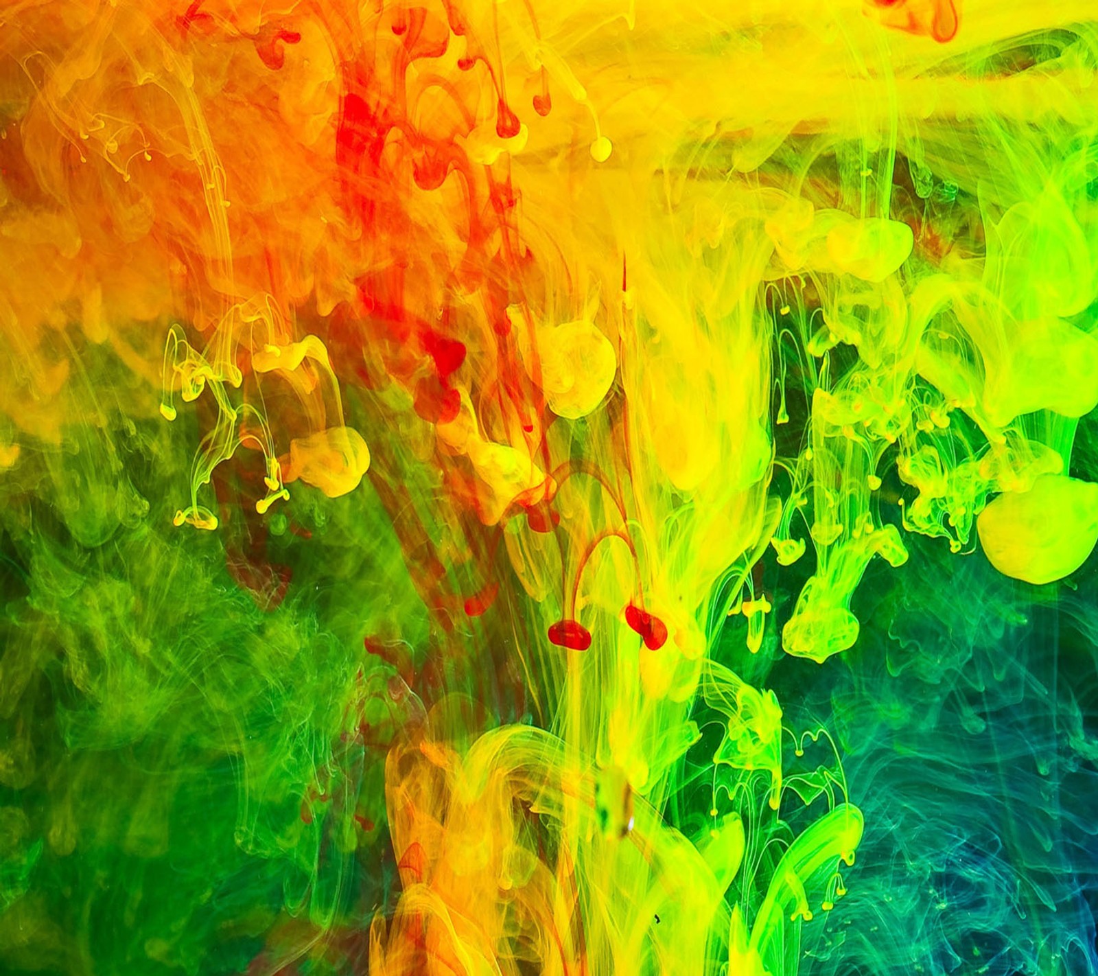 A close up of a colorful liquid painting on a black background (cool, festival, holi, holi 2013, holi colours)