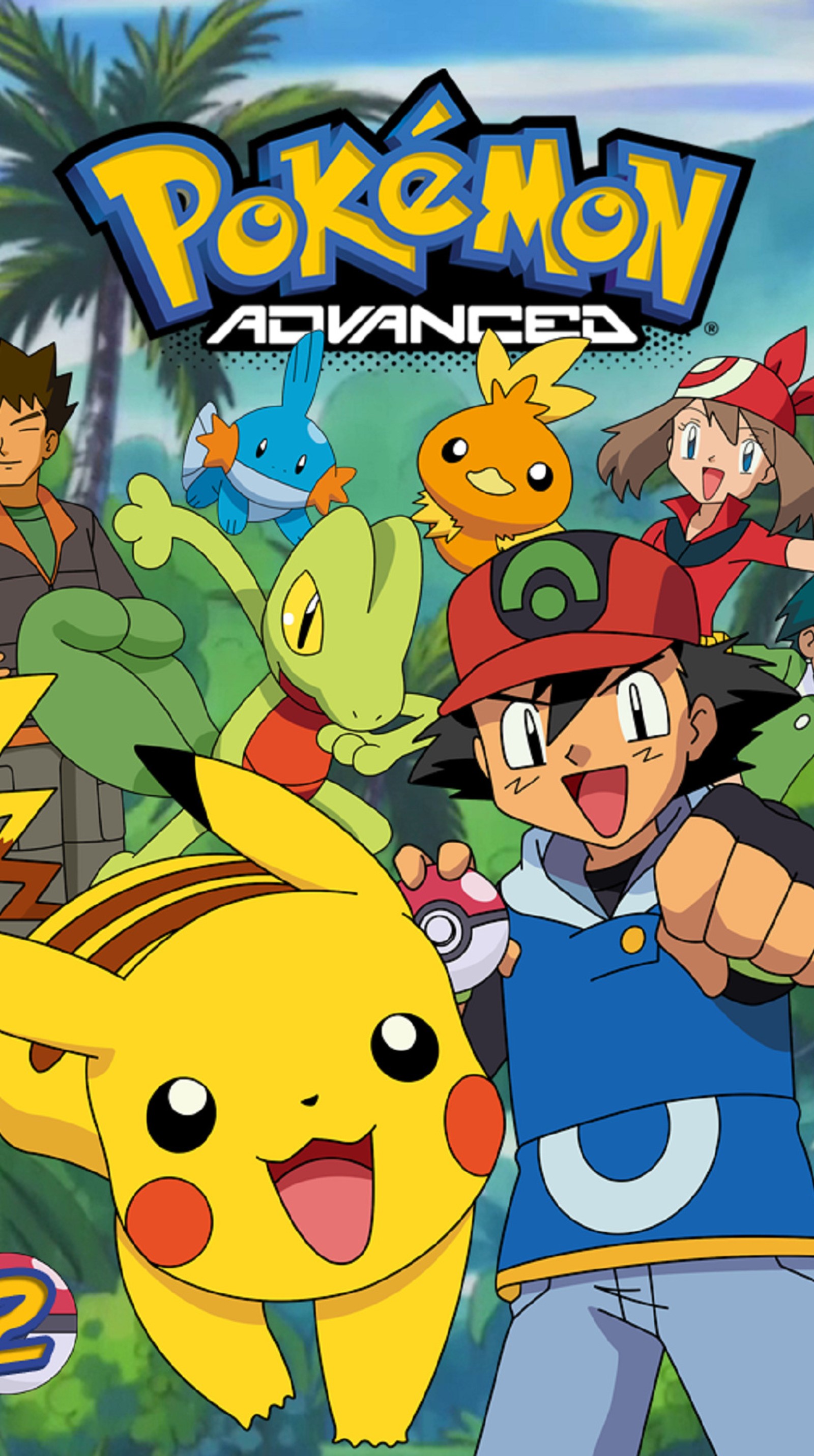 Pokemon adventures on nintendo wii (cartoons, pokmon)