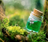 Potion de chance verte enchanteresse dans un cadre naturel