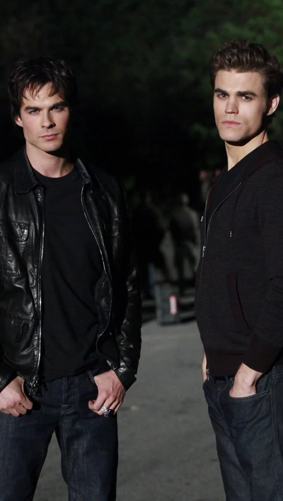 damon salvatore, stefan salvatore, the vampire diaries