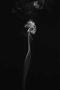 Elegant Smoke Dance in Monochrome Still Life