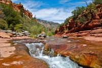 Ruisseau Tranquille dans le Canyon Oak Creek : Un Paysage Sauvage Serein