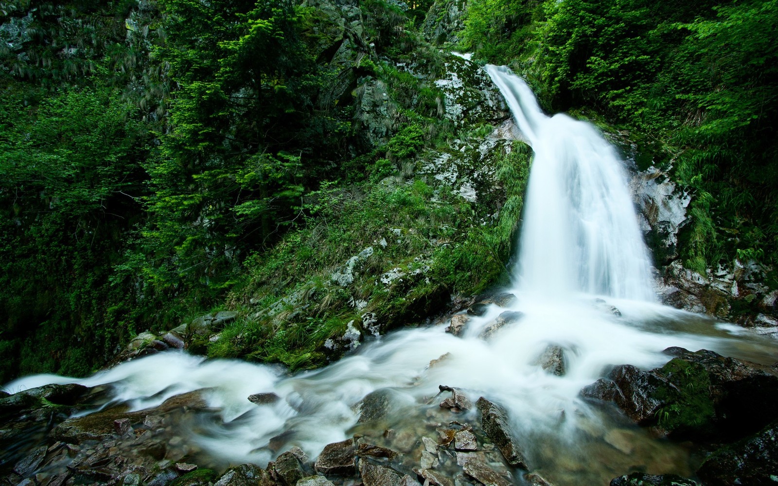 Arabischer wasserfall inmitten eines waldes mit steinen und bäumen (natur, wasserfall, wasserressourcen, gewässer, wasserlauf)