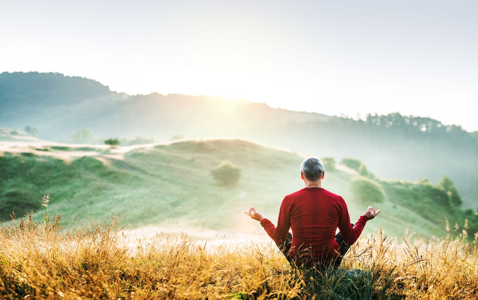 Un homme assis dans un champ en méditation (pensée, personnes dans la nature, nature, prairie, herbe)