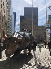 Charging Bull Sculpture in New York City