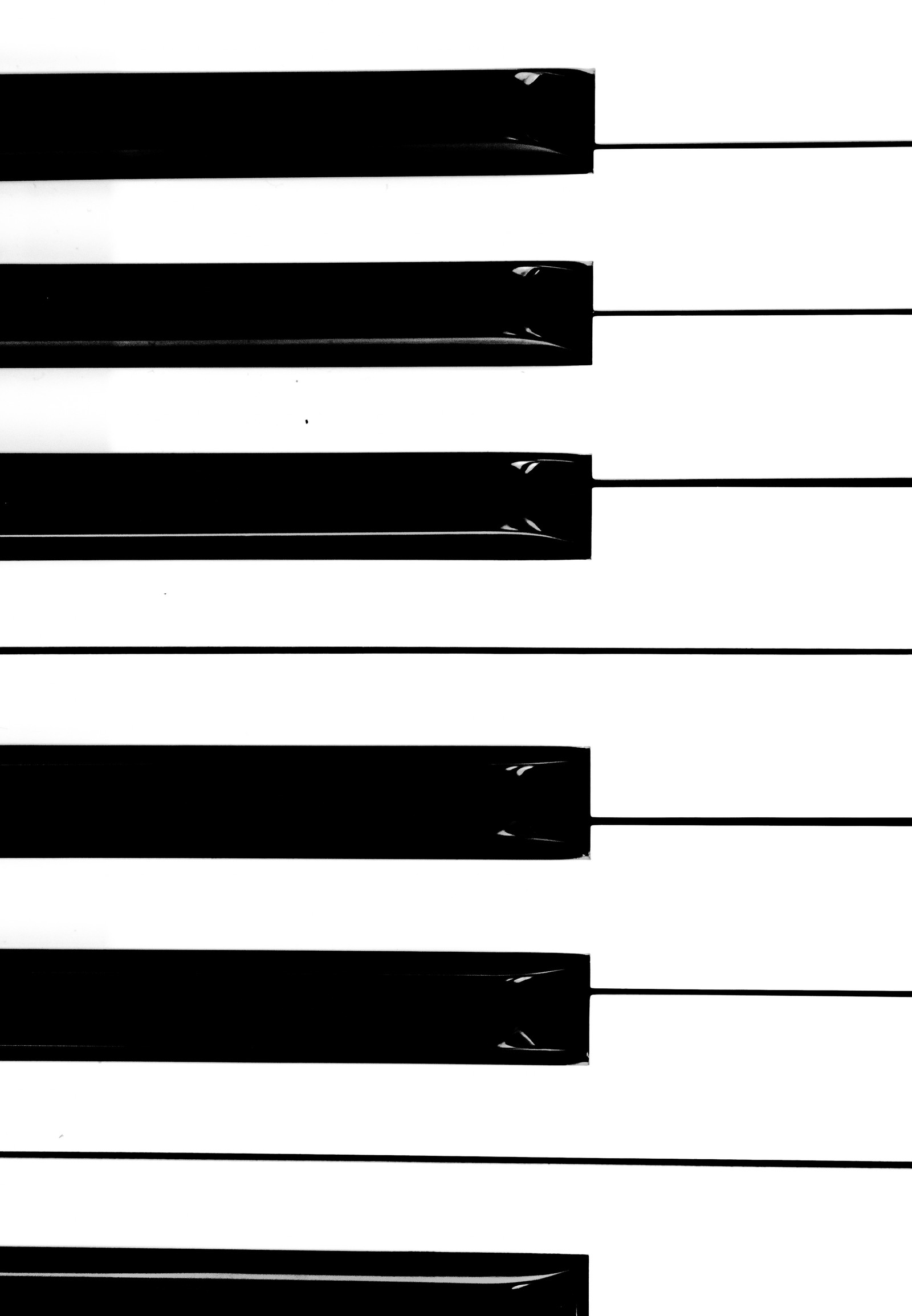 There is a black and white piano keyboard with a black and white background (piano, keyboard, line, musical instruments, point)