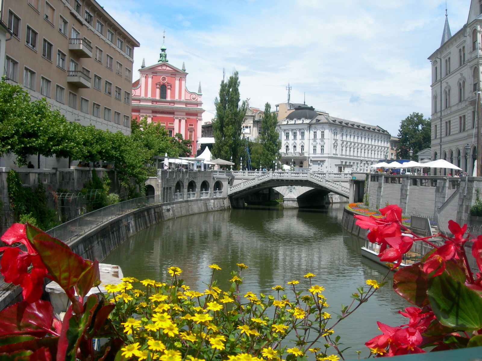 Flores em primeiro plano de um canal com uma ponte ao fundo (liubliana, atração turística, via navegável, cidade, canal)