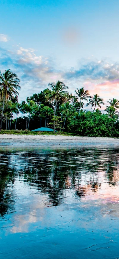 Tranquil Shoreline Reflection with Palm Trees Against an Azure Sky