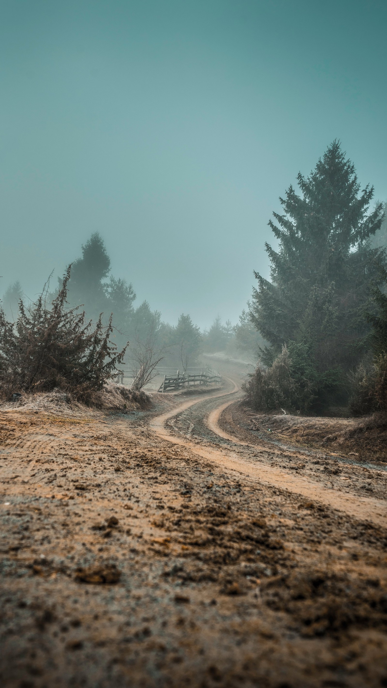 Hay un camino de tierra que serpentea a través del bosque (surrealismo, pintura, pintura de paisajes, arte, árbol)