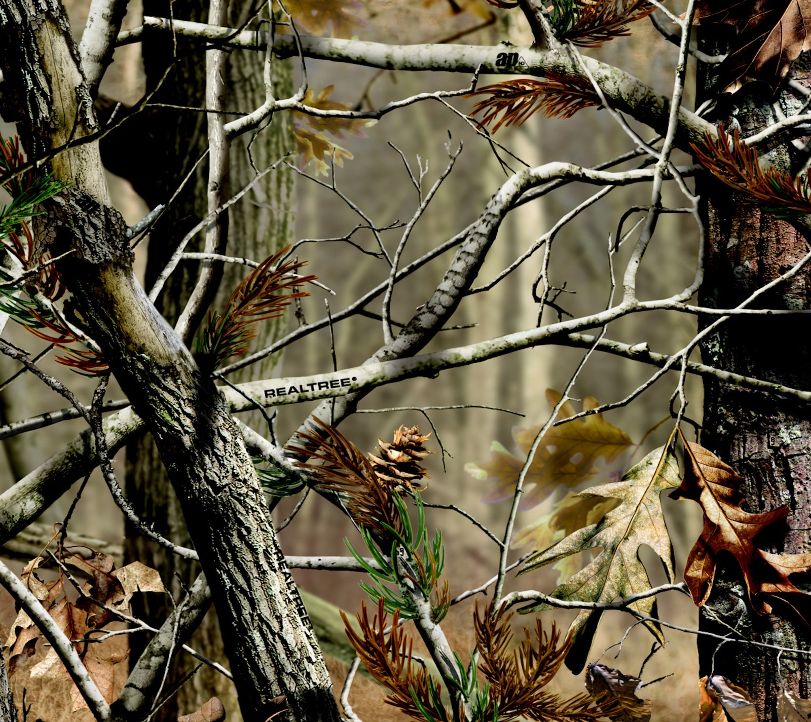 Hay un pájaro sentado en una rama en el bosque (camuflaje, caza, realtree, team realtree)