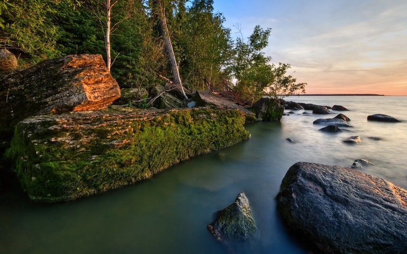 Вид на скалистый берег с деревом и несколькими камнями (природа, вода, скала, водоток, отражение)