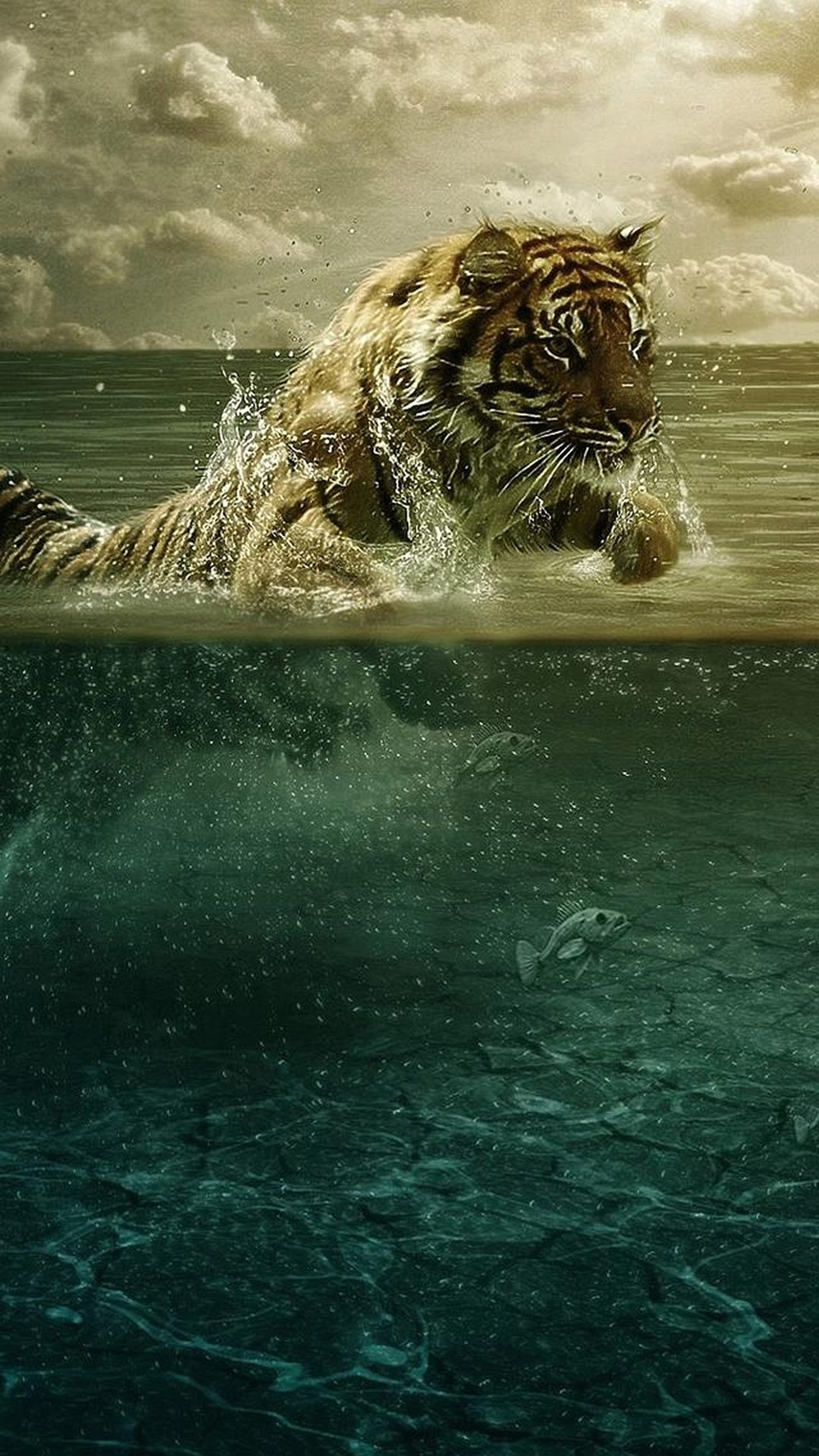 Tiger in the water with a cloudy sky and clouds in the background (animal, background, beautiful, beautiful tiger, cute)