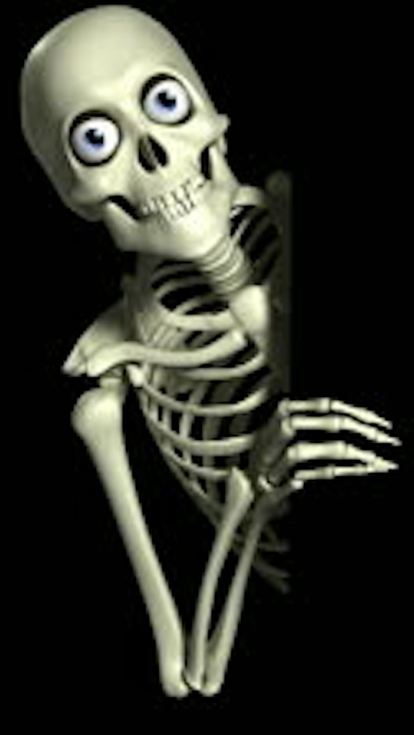 A close up of a skeleton with a sign in the dark (ki9, nj7)