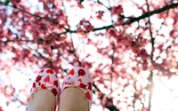 Felicidad de flores de cerezo rosa con zapatos juguetones