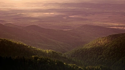 hauts plateaux, formes montagneuses, colline, montagne, sauvage