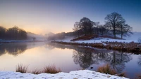 Winter Dawn: Serene Reflections in a Snowy Landscape