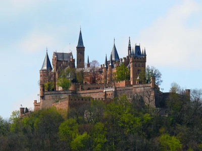 Castelo de Hohenzollern: Um exemplo majestoso de arquitetura medieval em meio à vegetação exuberante.