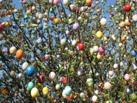 Huevos de Pascua coloridos colgando de una rama de árbol contra un cielo azul claro.