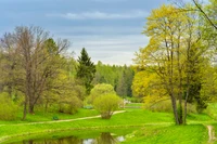 Üppiger grüner Hain im Naturschutzgebiet mit malerischen Wegen und ruhiger Wasserreflexion