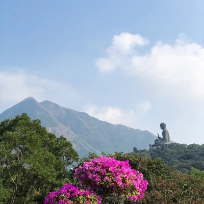 Paysage de haute montagne serein avec des fleurs en fleurs et un Bouddha de montagne