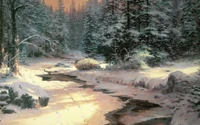 Tranquil Winter Forest Stream