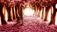 pink flowers, flower, blossom, canvas, cherry blossom wallpaper