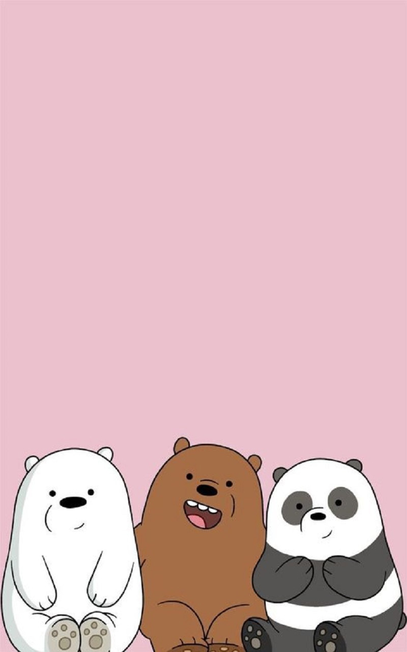 Un groupe d'ours assis côte à côte sur un fond rose (ours, marron, panda, polaire, polar)