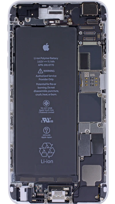 Composants internes d'un iPhone avec batterie et circuits visibles