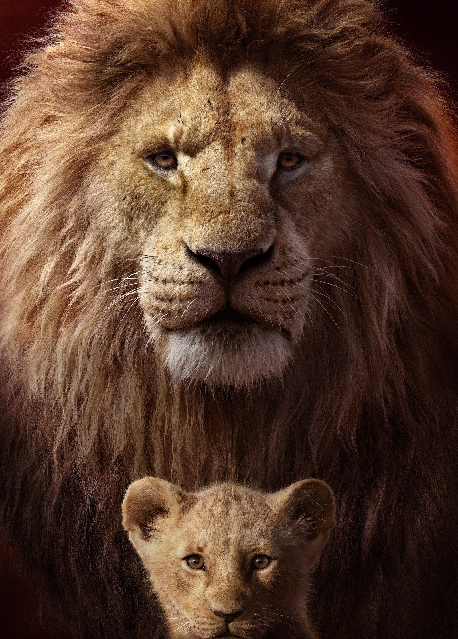 Lion et petit sur l'affiche du roi lion (disney, hd, film, le roi lion)