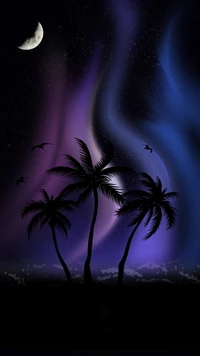 blue, moon, night, nighttime, northern lights wallpaper