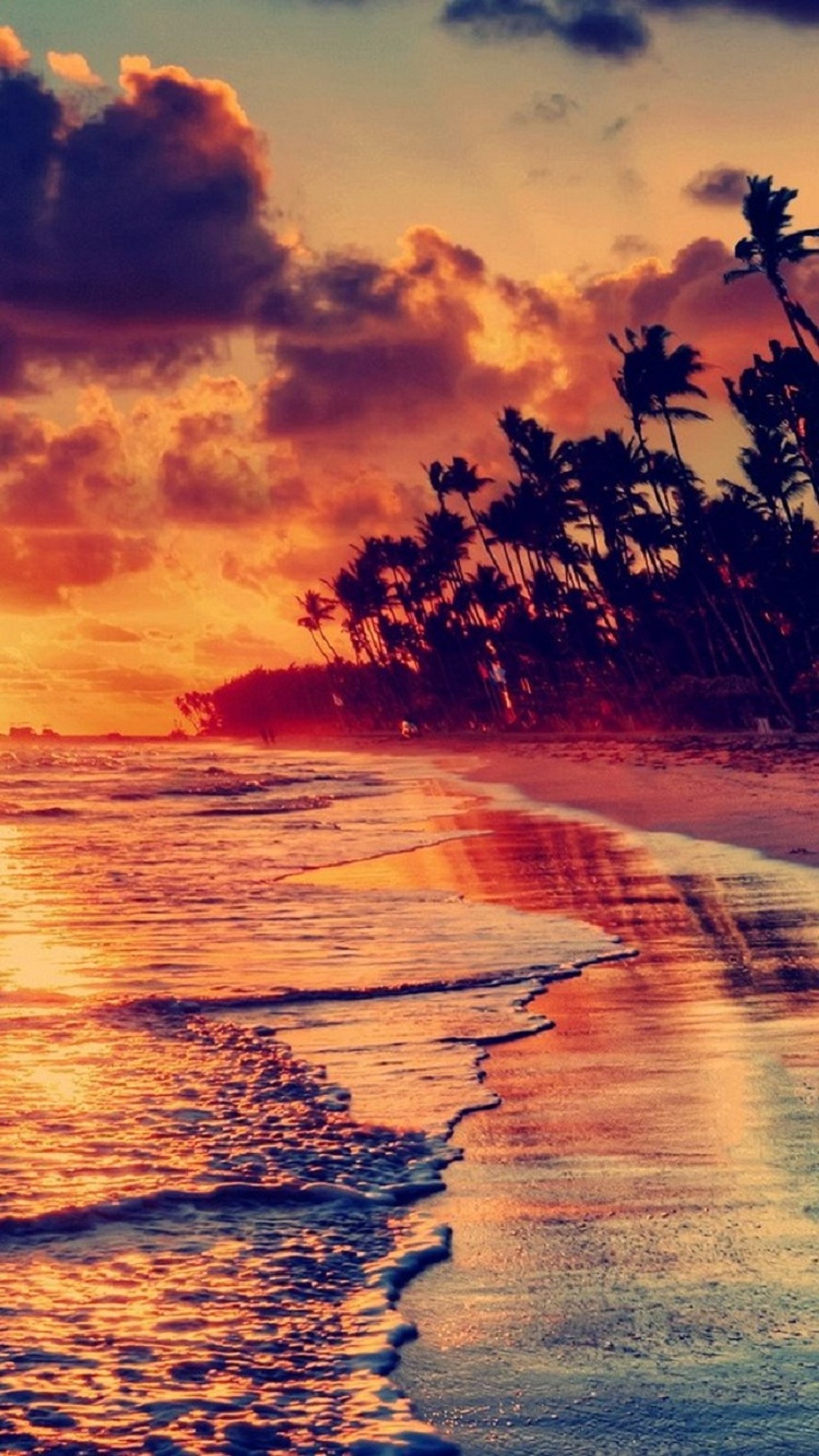 Sunset on a tropical beach with palm trees and waves (beach, clouds, fire, nature, sunset)