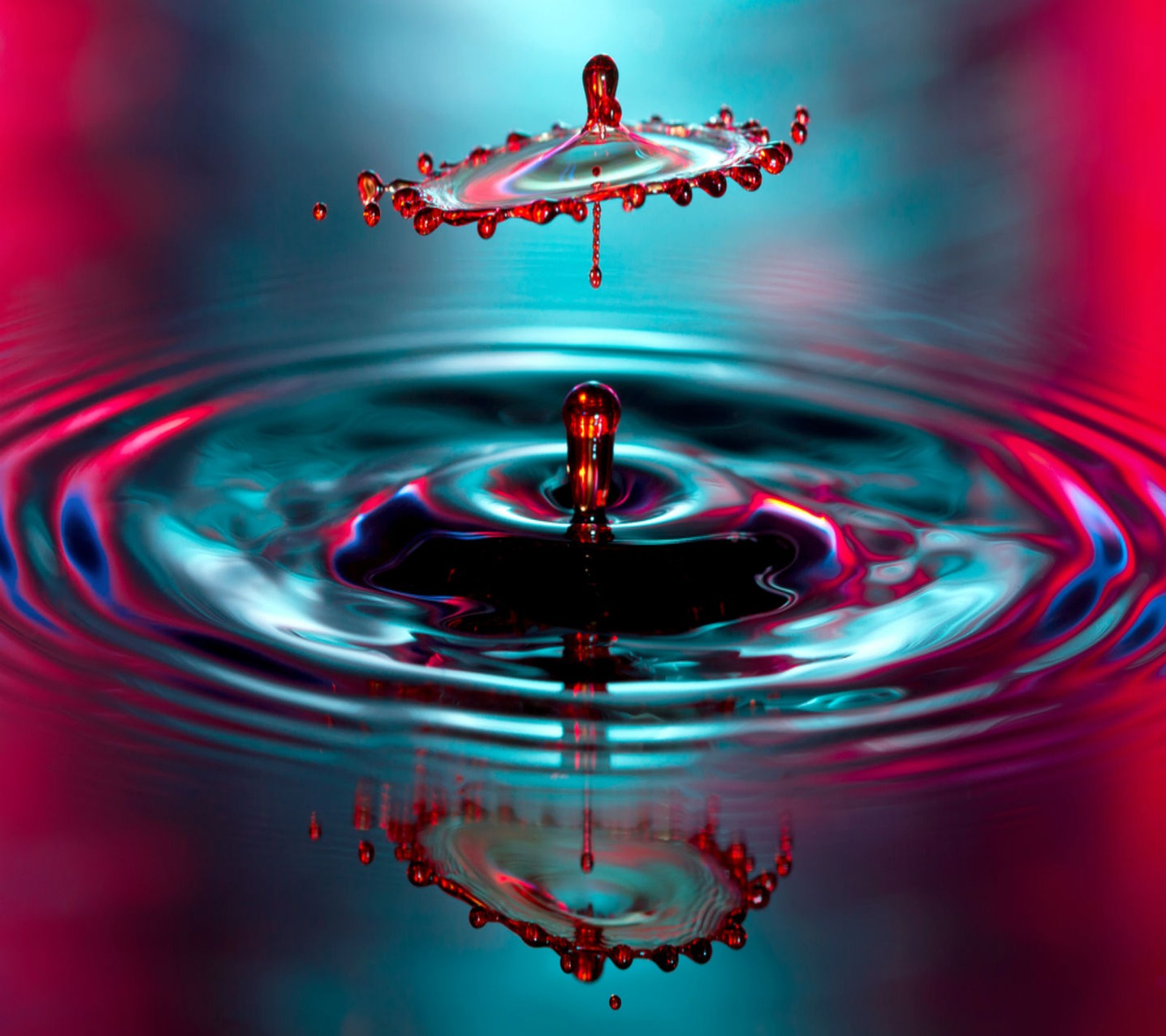 Primer plano de una gota de agua con fondo rojo y azul (3d, arte, colores, genial, efecto)