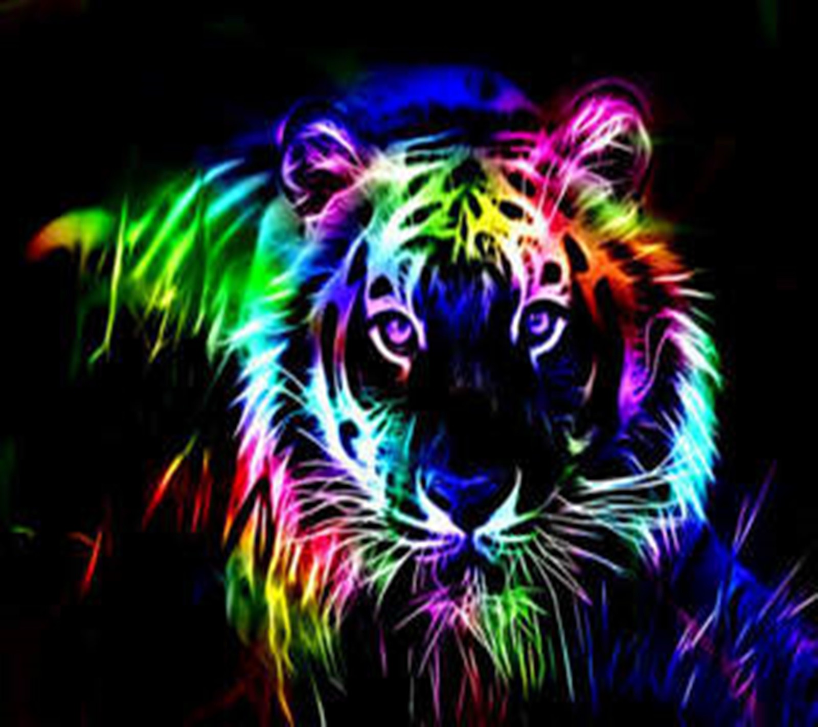 Un primer plano de un tigre con fondo negro (abstracto, animales, sprigamelvirus)