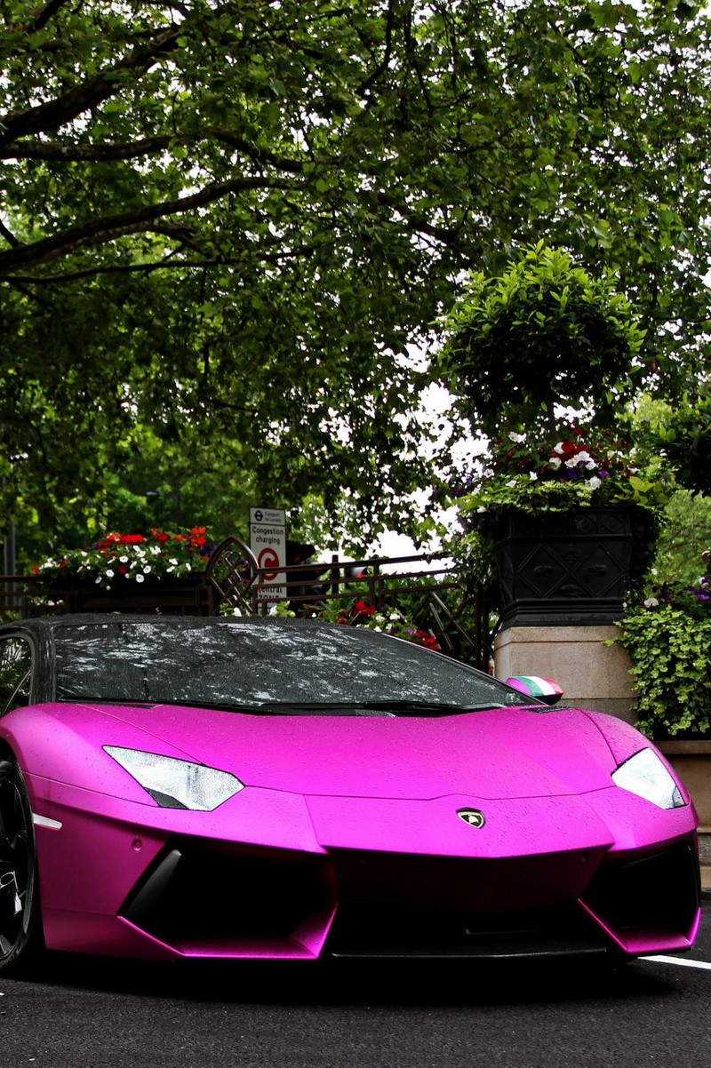 Близкий план розового lamborghini, припаркованного на парковке (машина, ник)