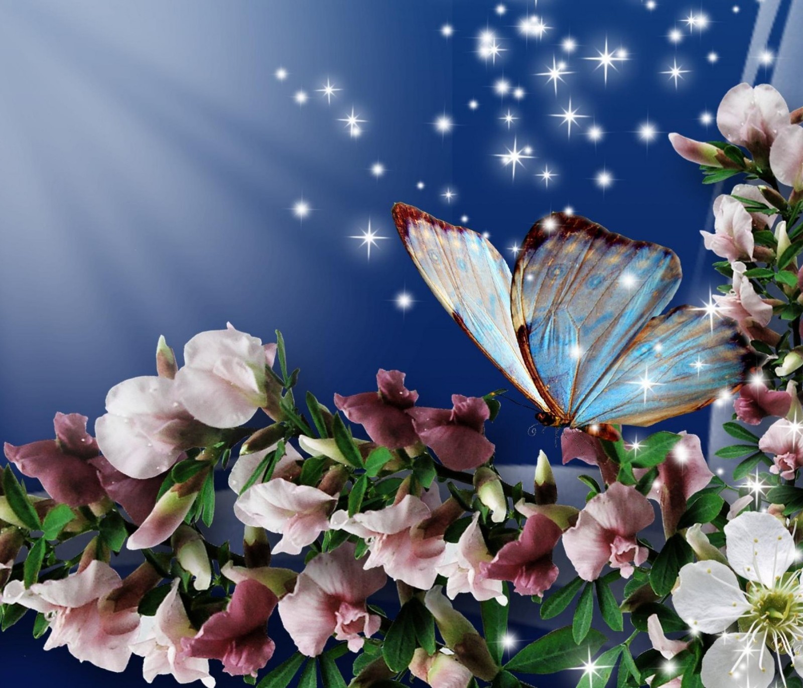 There is a butterfly that is flying over some flowers (butterfly, flowers, nature)