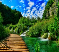 Sentier serein près d'une cascade luxuriante