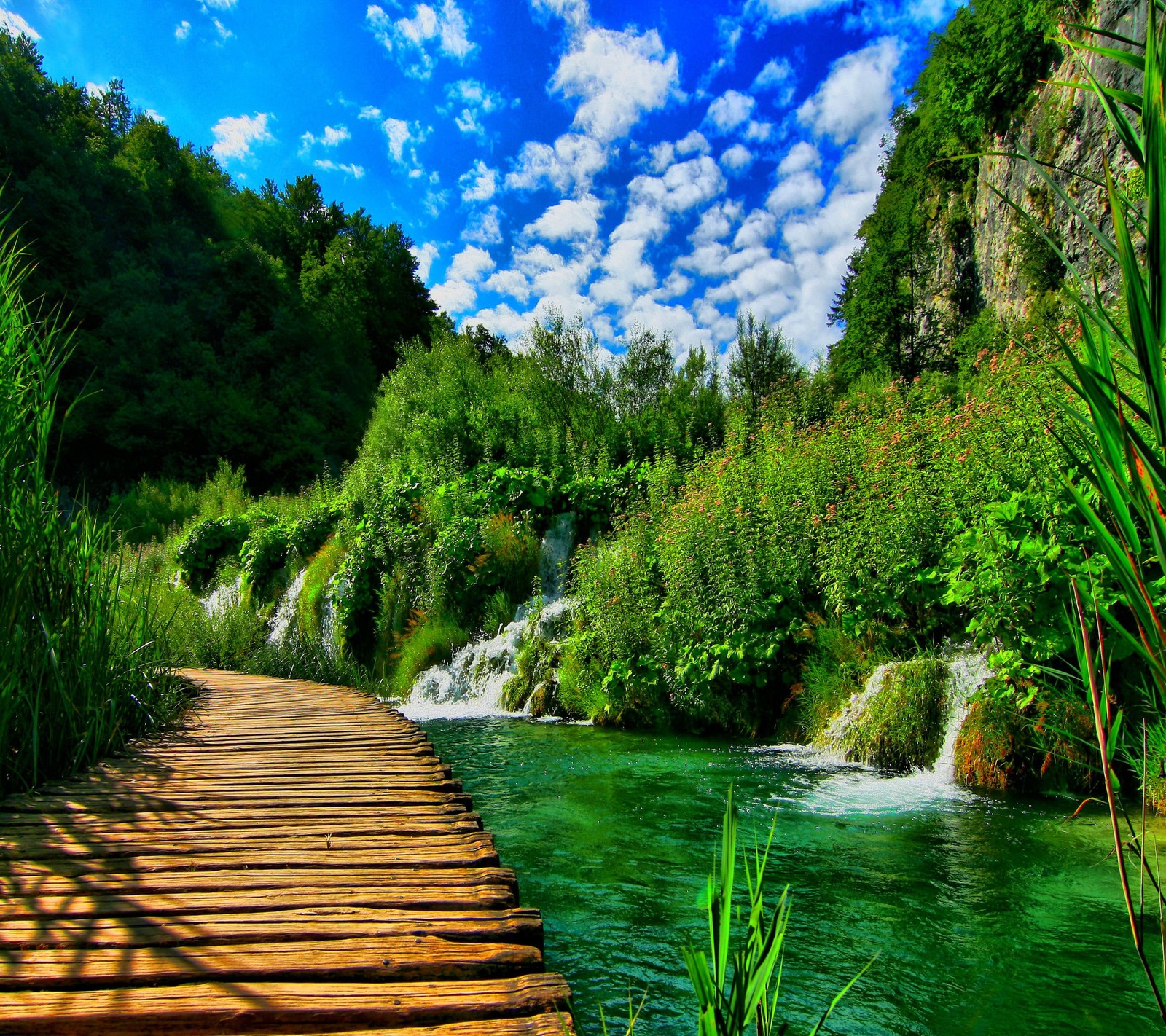 Una vista de un paseo de madera sobre un río con cascadas (naturaleza, cascada)